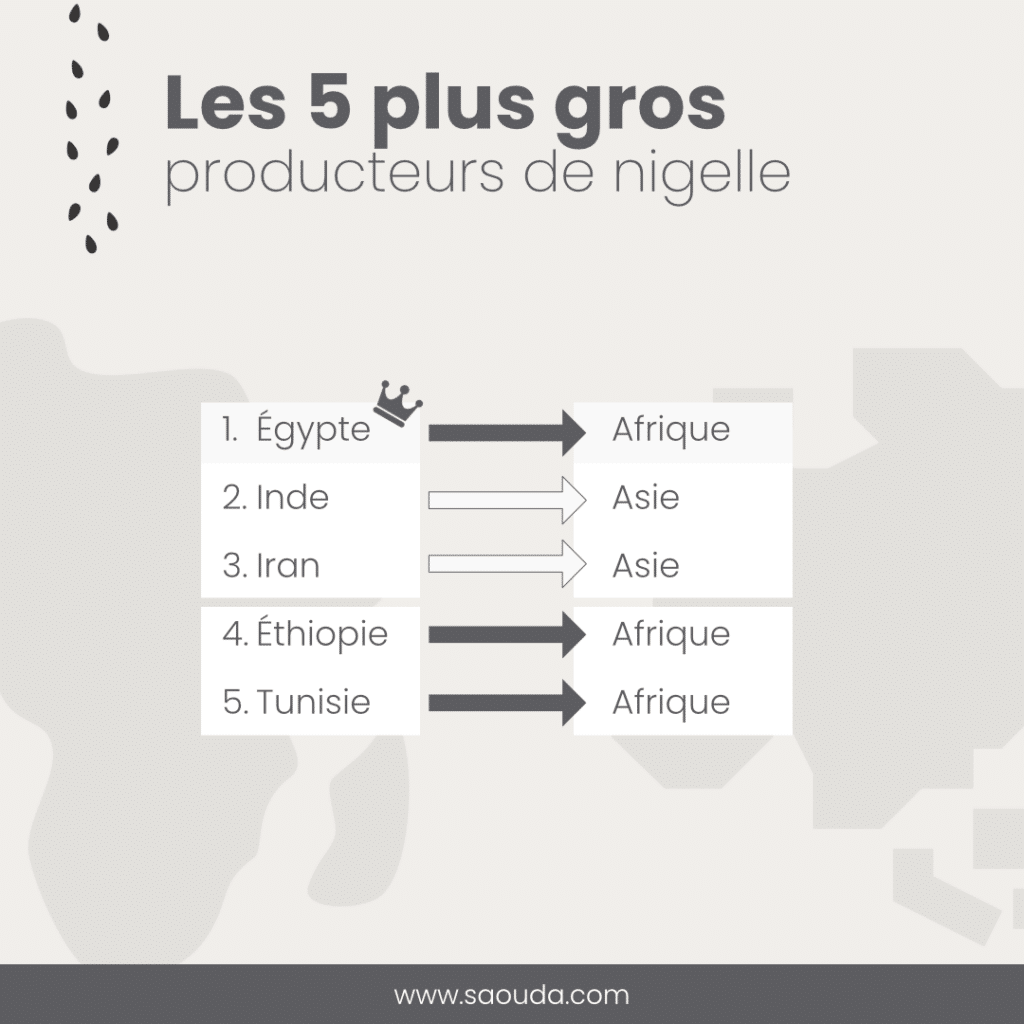 Infographies provenance nigelle